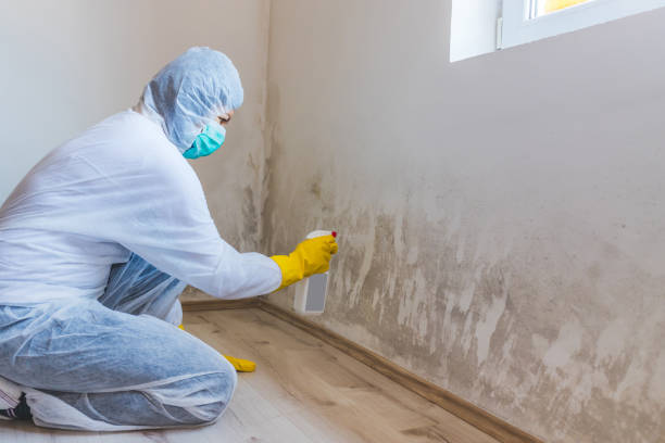 Licensed Crawl Space Mold Removal service in Hudson, PA - WQB Mold Removal