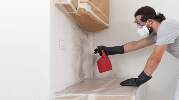 Professional Crawl Space Mold Removal technician working in Hudson, PA