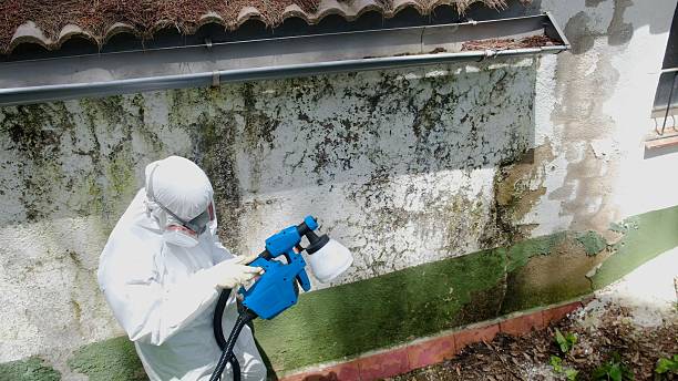 Top rated local Crawl Space Mold Removal specialists in Hudson, PA